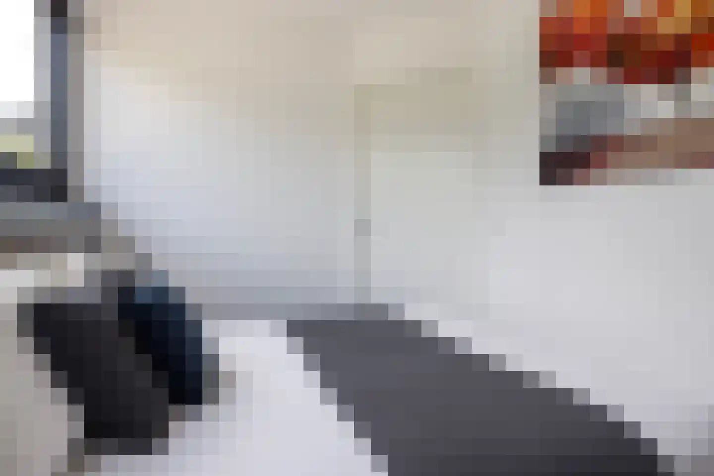 Jongebuorren 46 Terherne thumbnail 19
