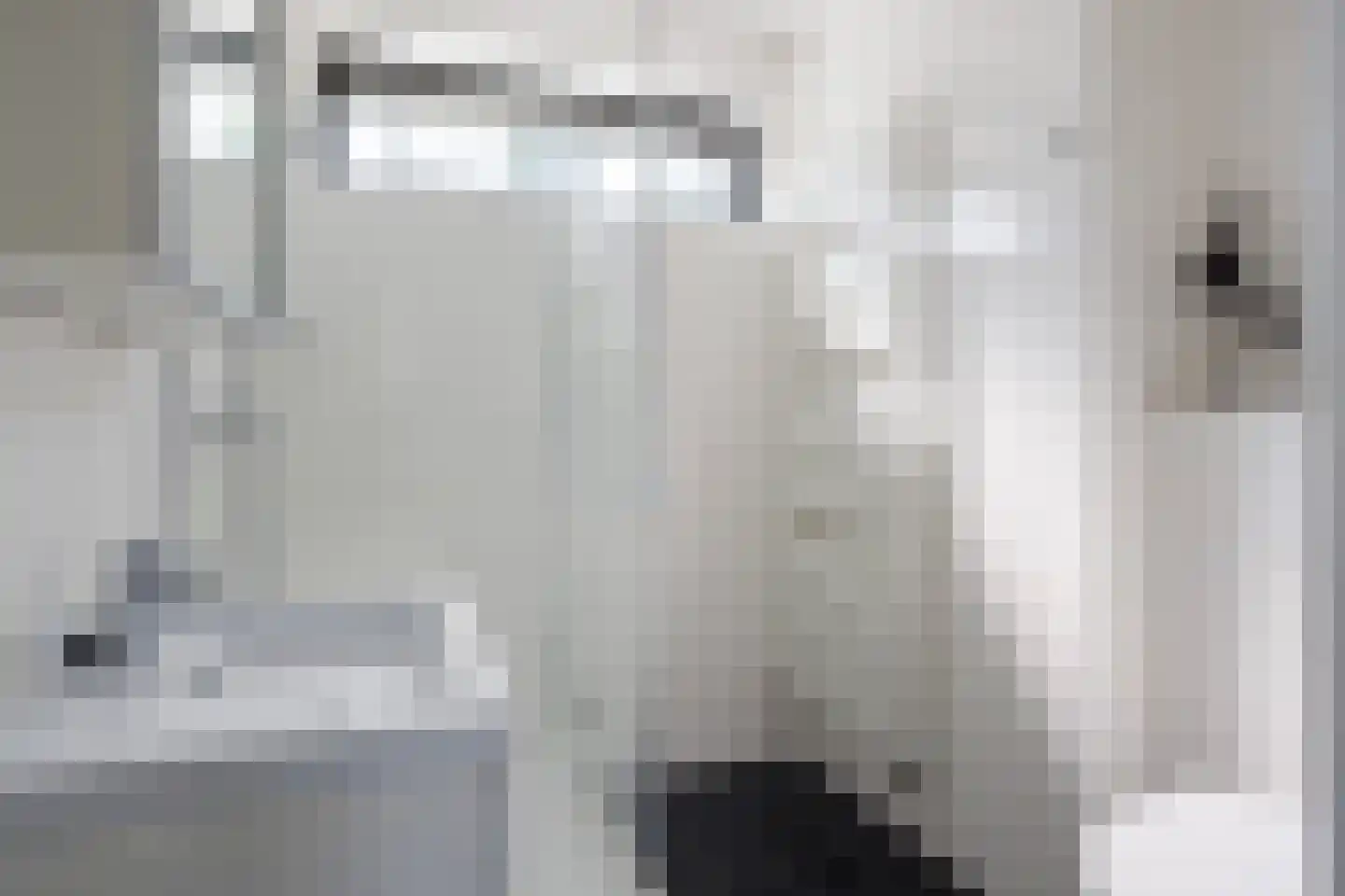 Jongebuorren 46 Terherne thumbnail 22