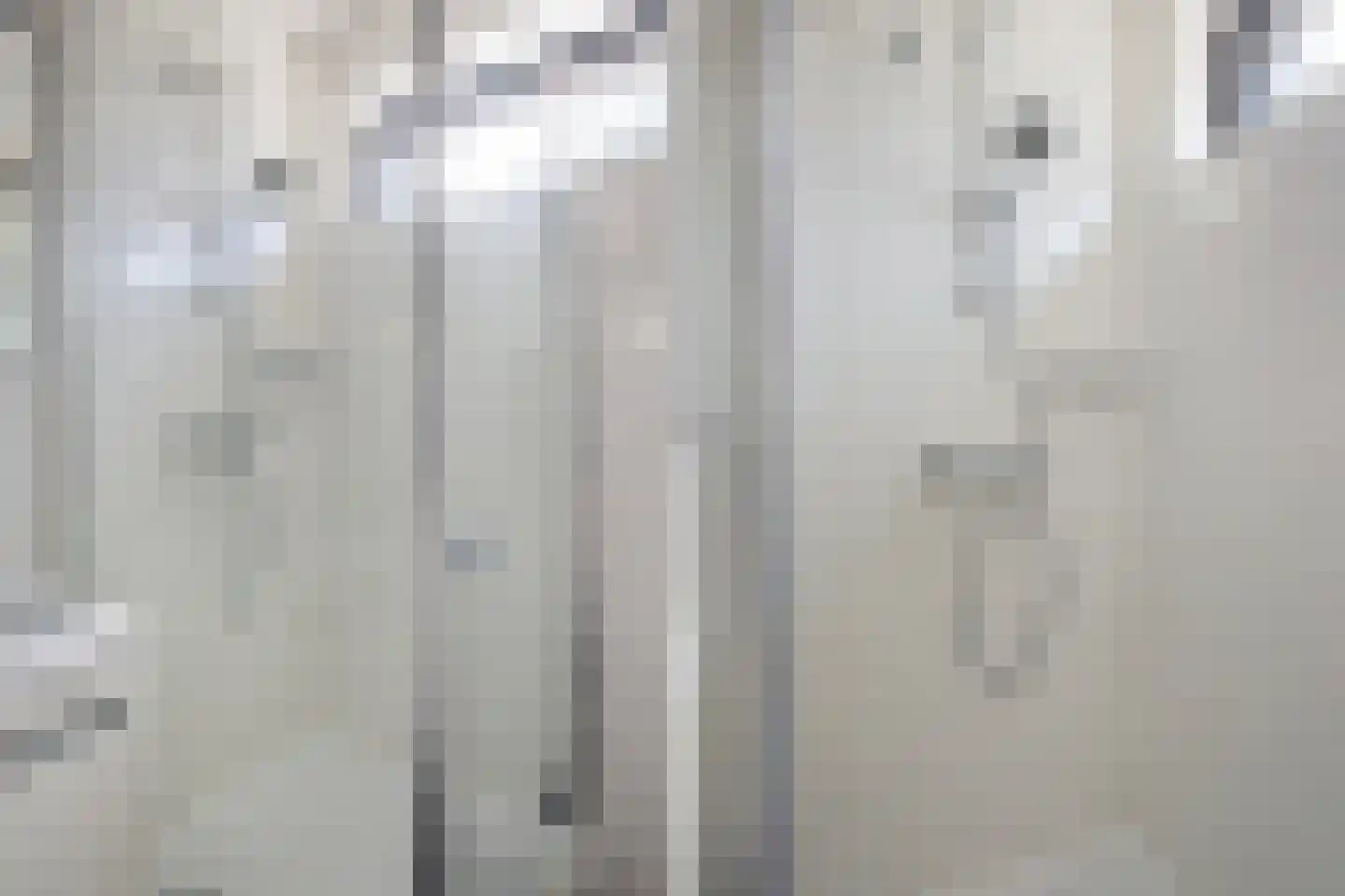 Jongebuorren 46 Terherne thumbnail 24