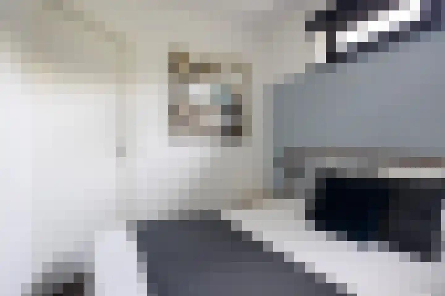 Jongebuorren 46 Terherne thumbnail 26