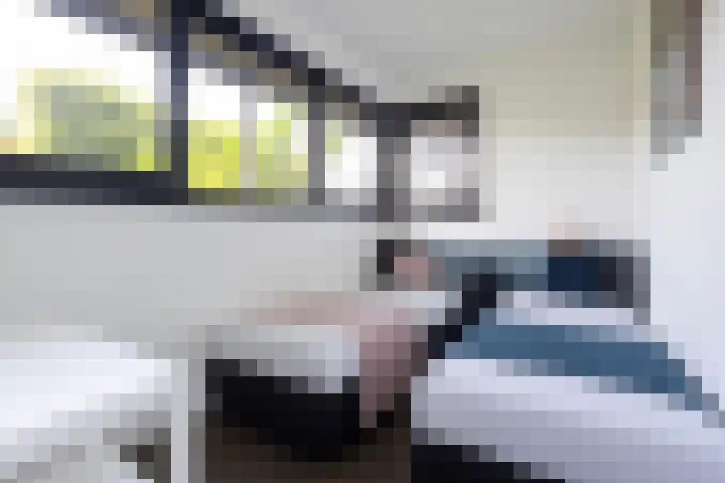 Jongebuorren 46 Terherne thumbnail 27
