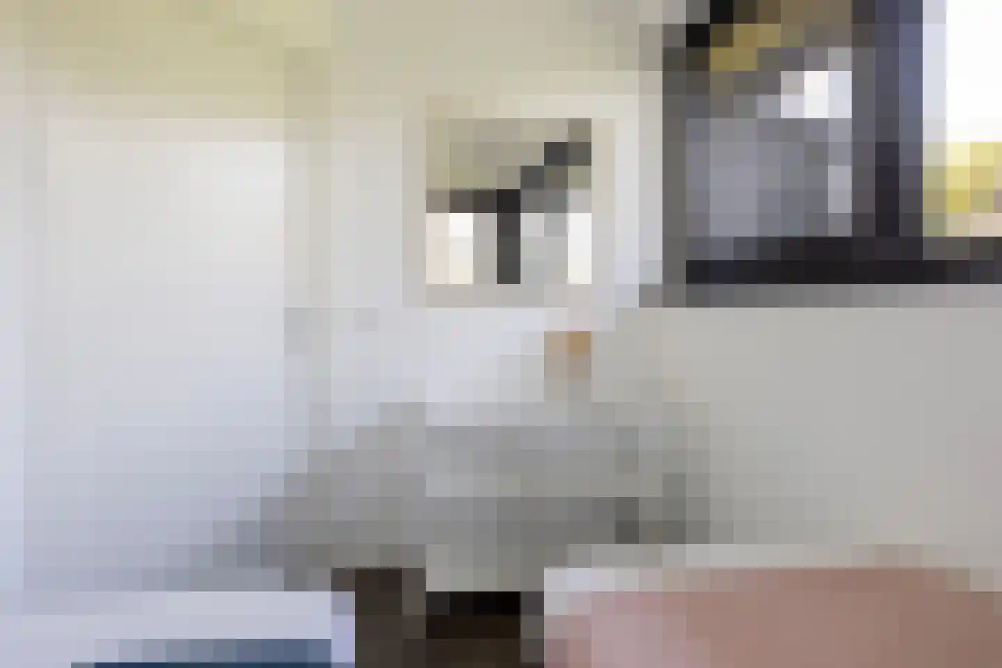 Jongebuorren 46 Terherne thumbnail 28