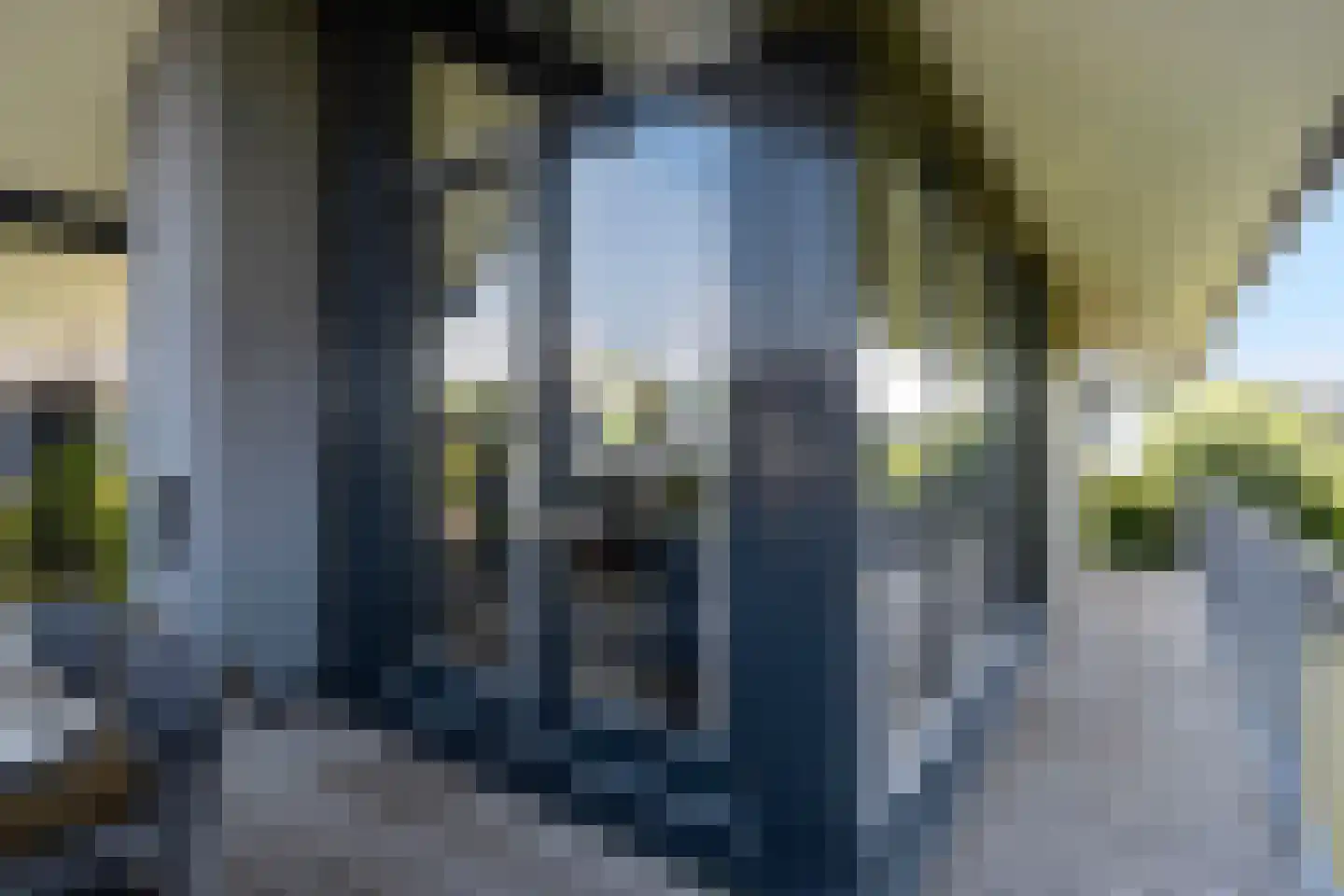 Jongebuorren 46 Terherne thumbnail 31