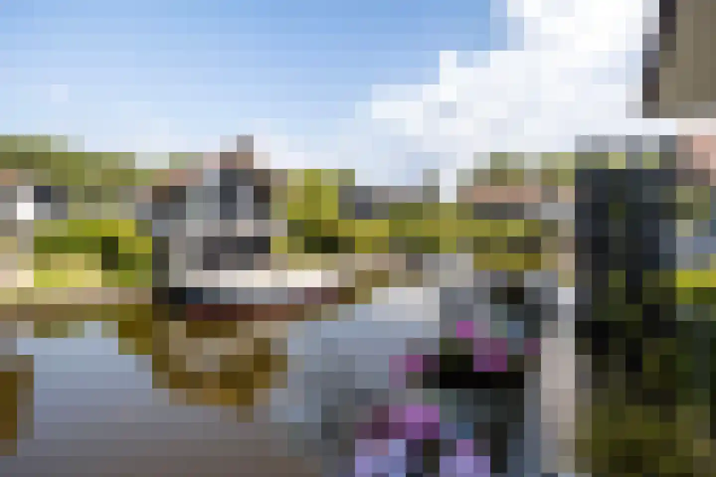 Jongebuorren 46 Terherne thumbnail 33