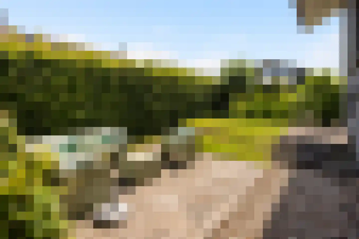Jongebuorren 46 Terherne thumbnail 37