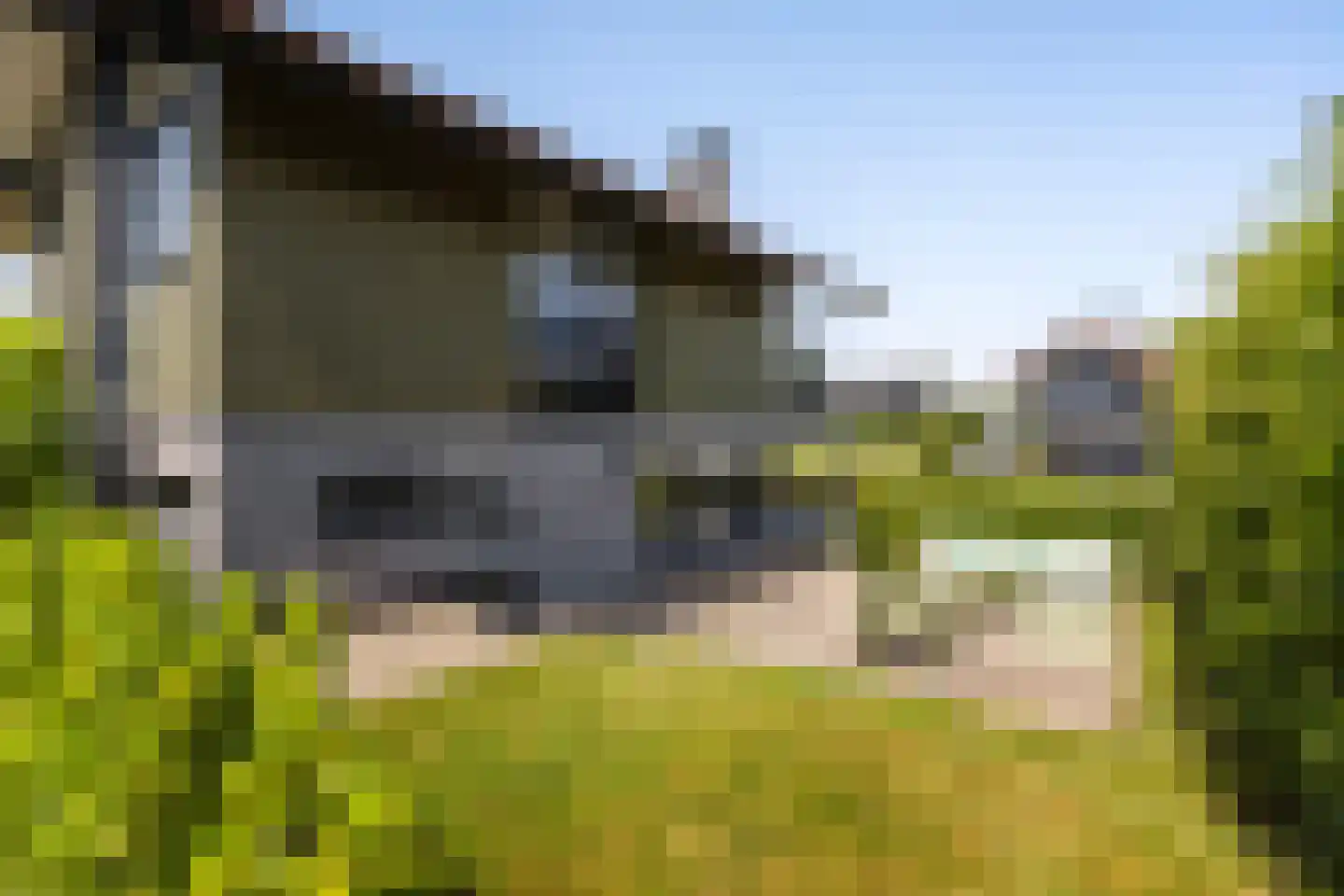 Jongebuorren 46 Terherne thumbnail 38