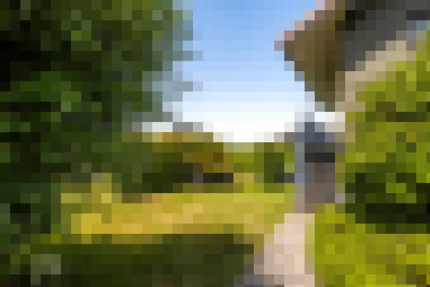 Jongebuorren 46 Terherne thumbnail 41