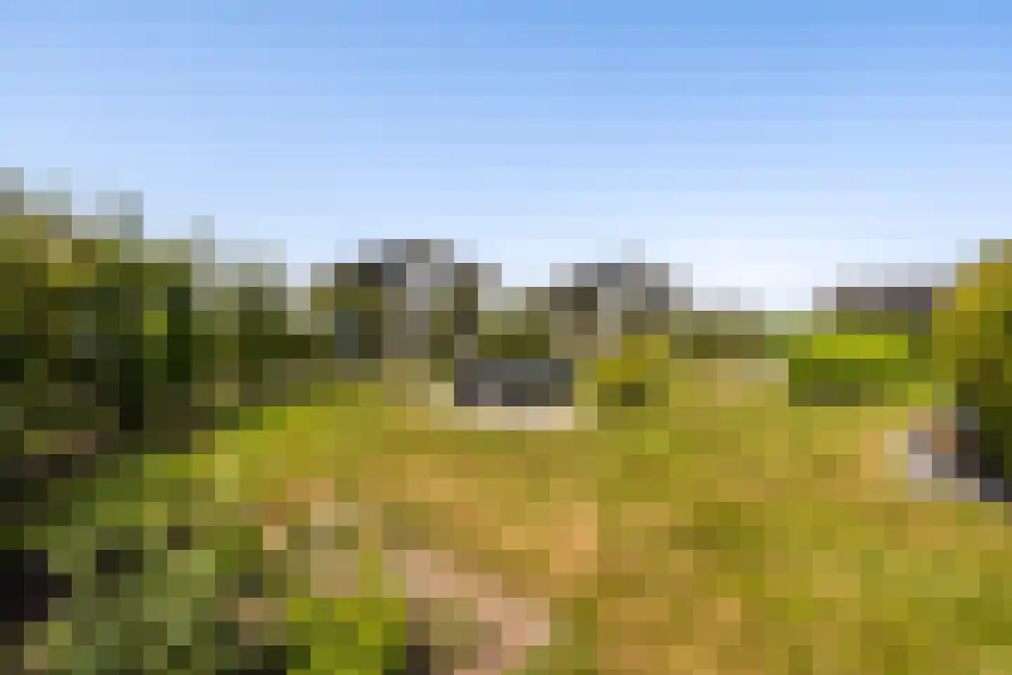 Jongebuorren 46 Terherne thumbnail 43