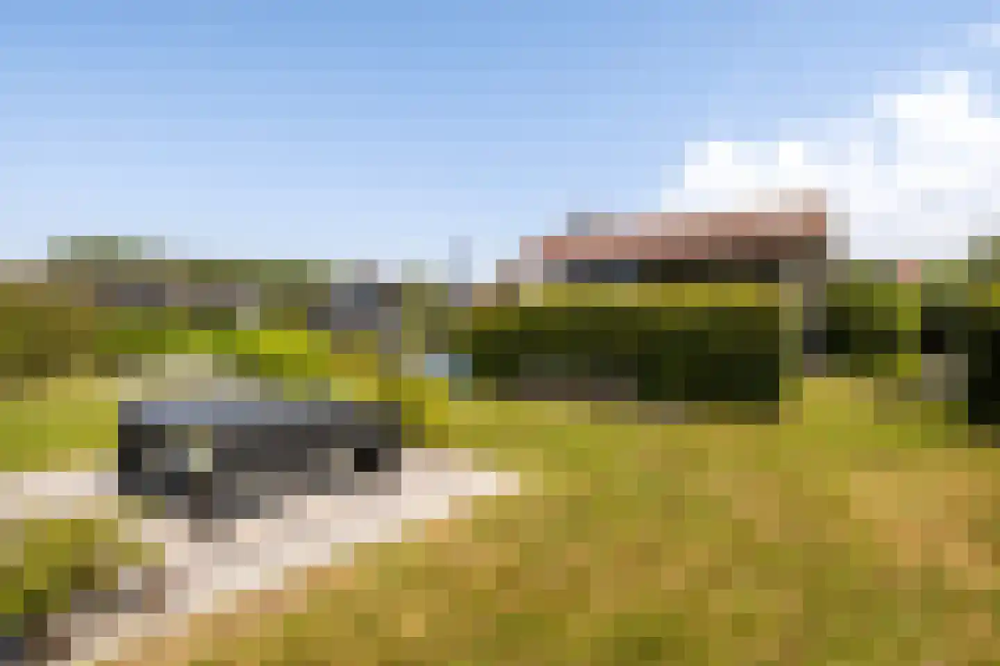Jongebuorren 46 Terherne thumbnail 44