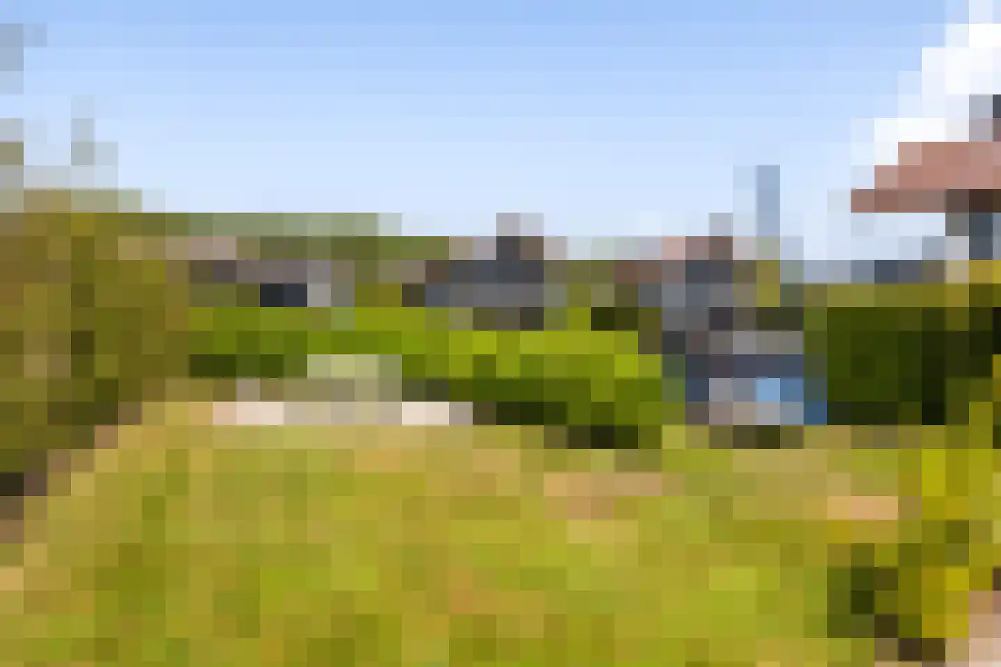 Jongebuorren 46 Terherne thumbnail 45
