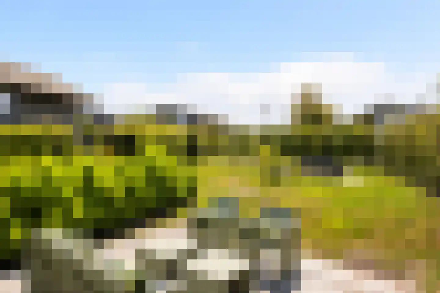 Jongebuorren 46 Terherne thumbnail 46