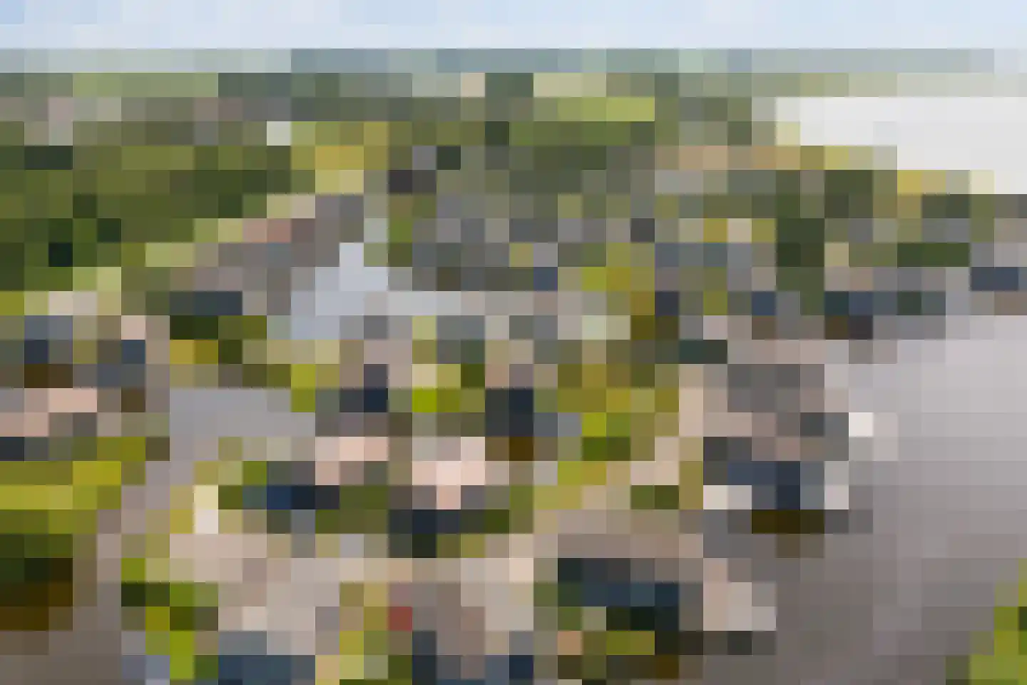 Jongebuorren 46 Terherne thumbnail 49