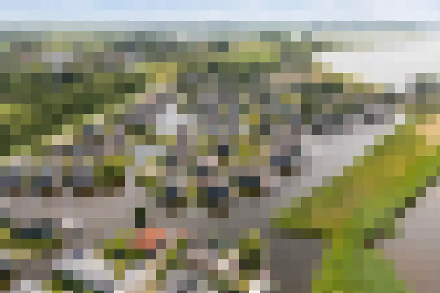 Jongebuorren 46 Terherne thumbnail 50