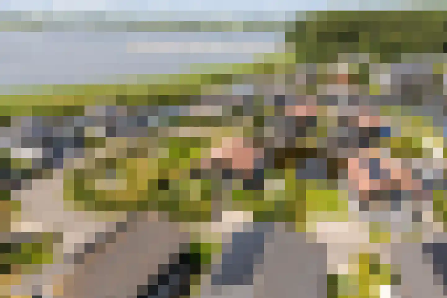Jongebuorren 46 Terherne thumbnail 52