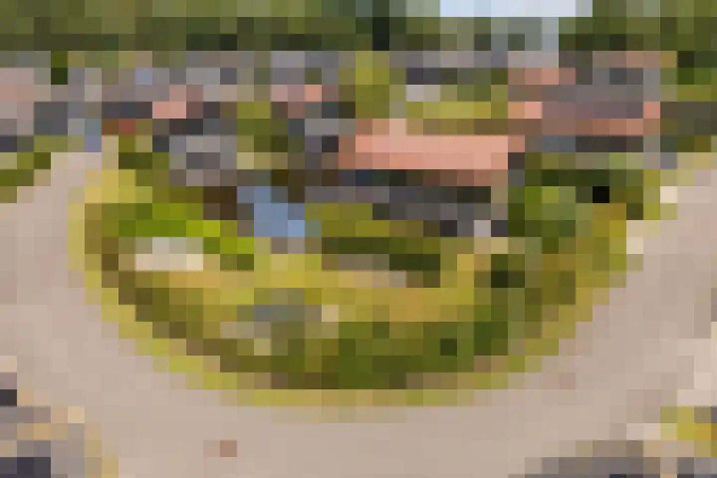 Jongebuorren 46 Terherne thumbnail 54