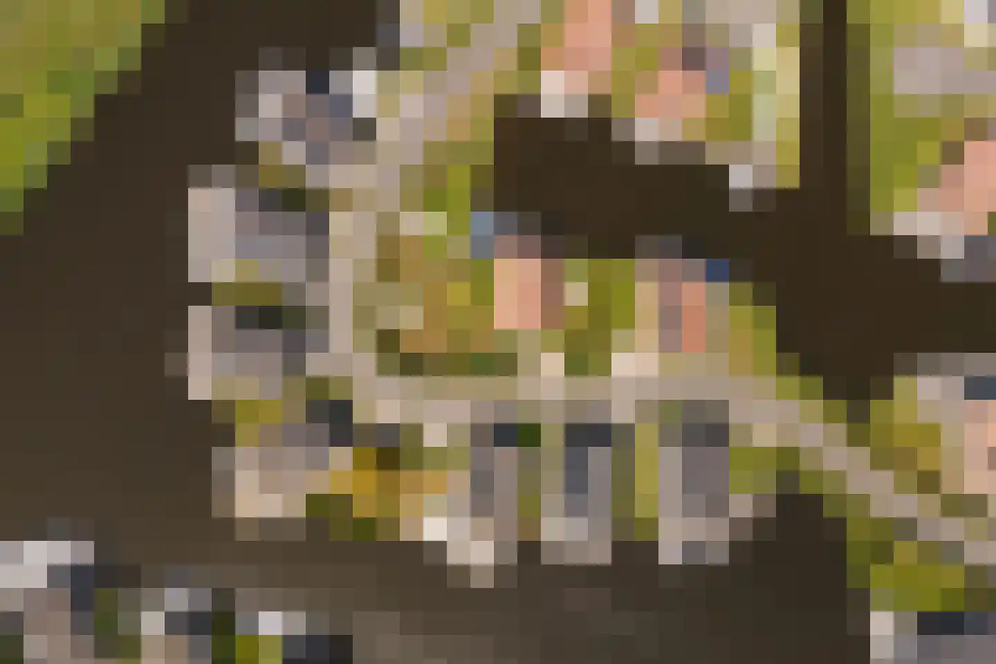 Jongebuorren 46 Terherne thumbnail 57