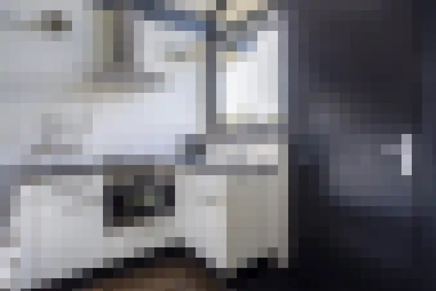 Jongebuorren 46 Terherne thumbnail 7