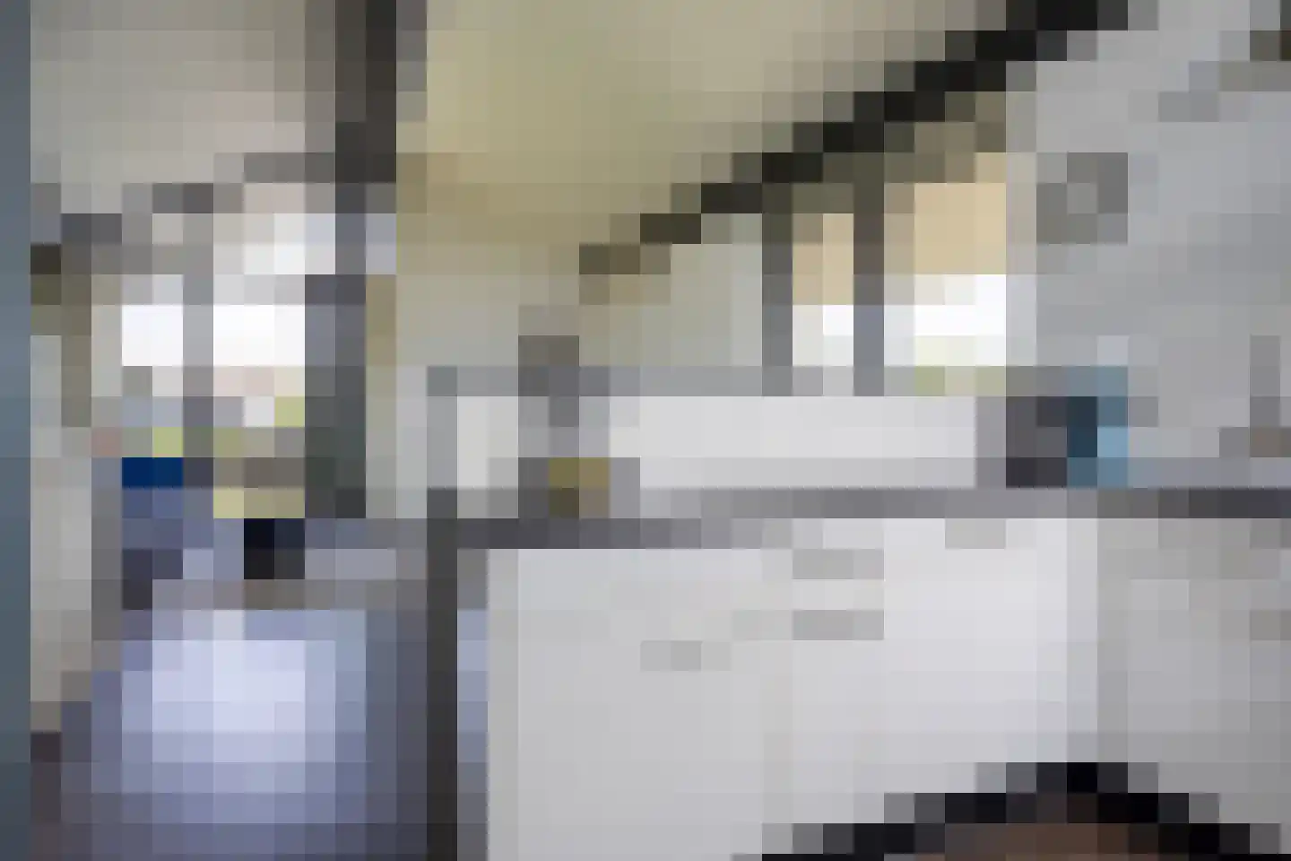 Jongebuorren 46 Terherne thumbnail 8