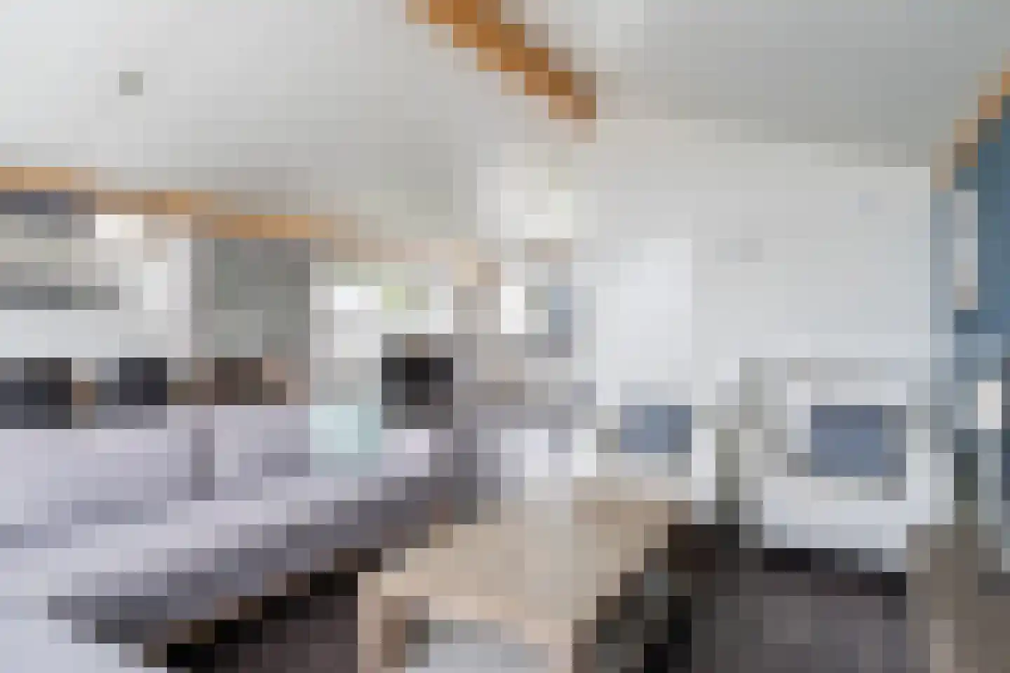 Jongebuorren 49 Terherne thumbnail 18