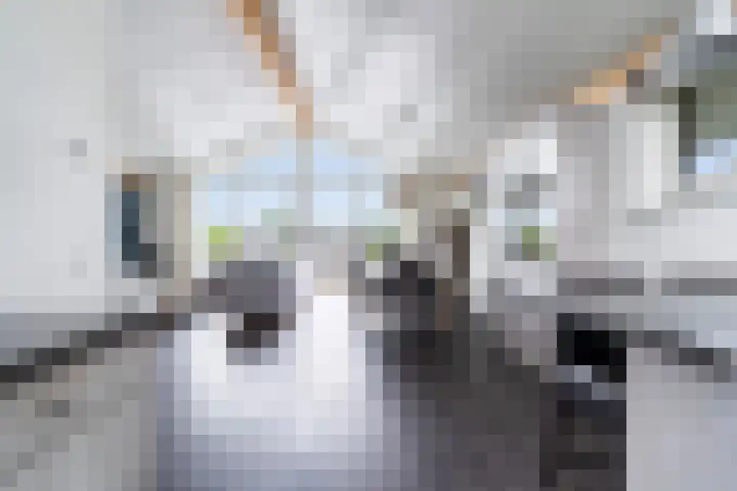 Jongebuorren 49 Terherne thumbnail 23
