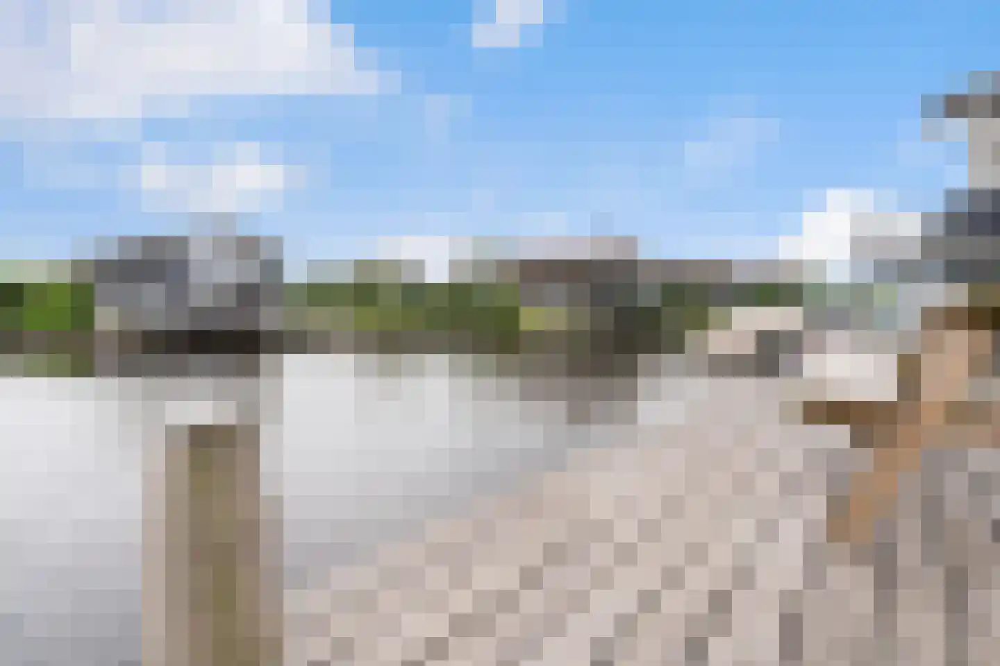Jongebuorren 49 Terherne thumbnail 27