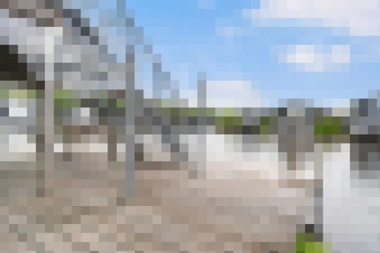 Jongebuorren 49 Terherne thumbnail 28