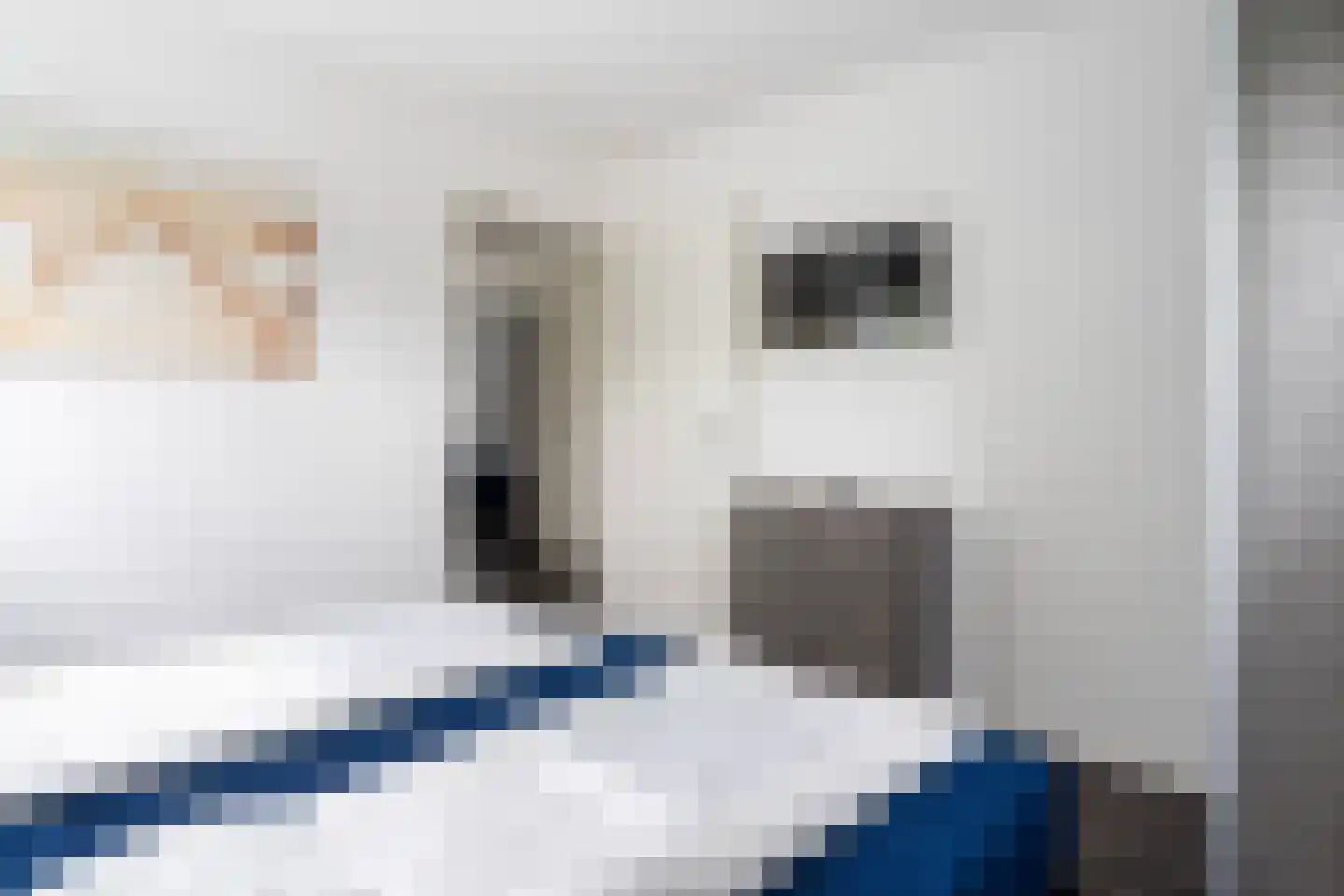Jongebuorren 49 Terherne thumbnail 38