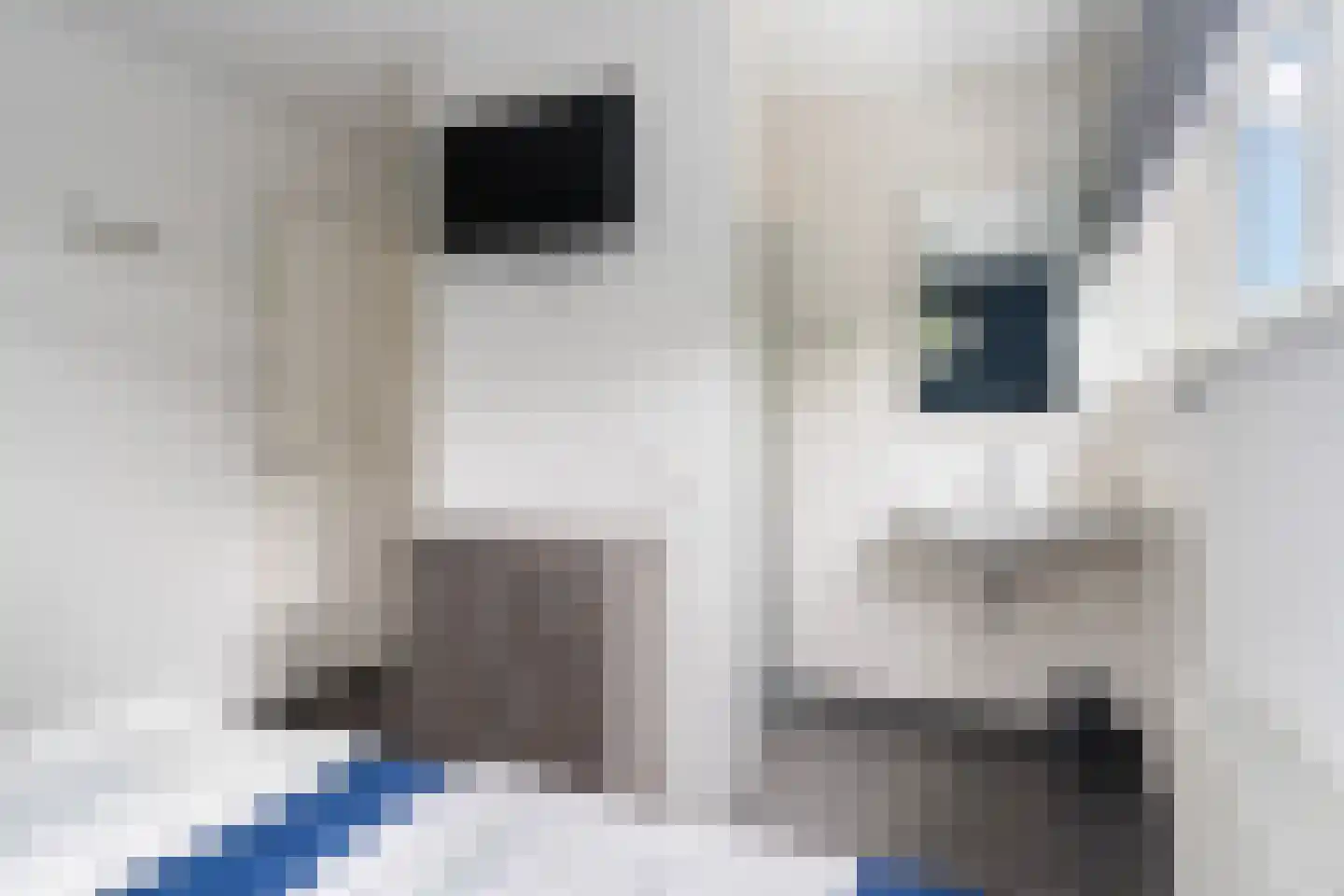 Jongebuorren 49 Terherne thumbnail 41