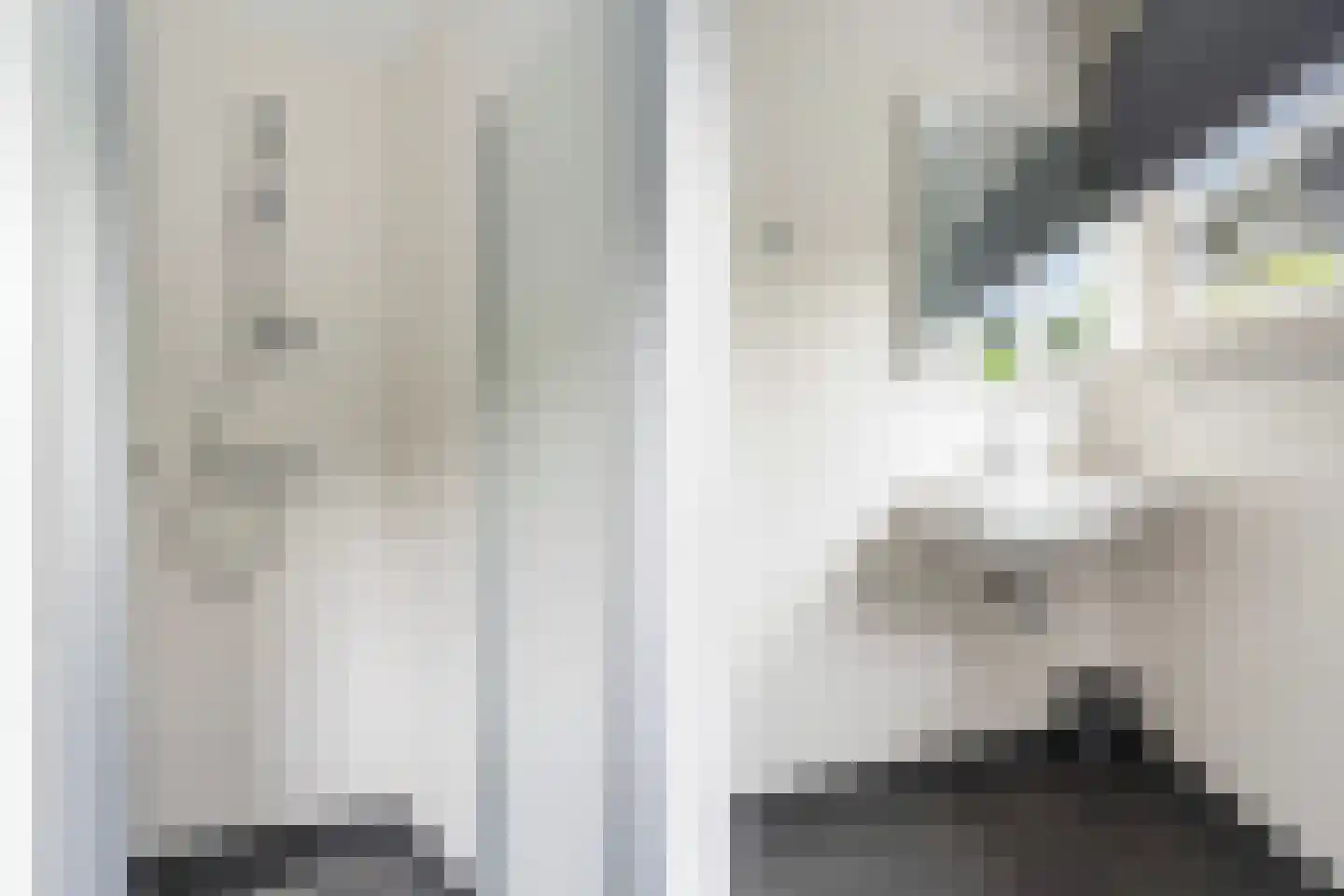 Jongebuorren 49 Terherne thumbnail 42