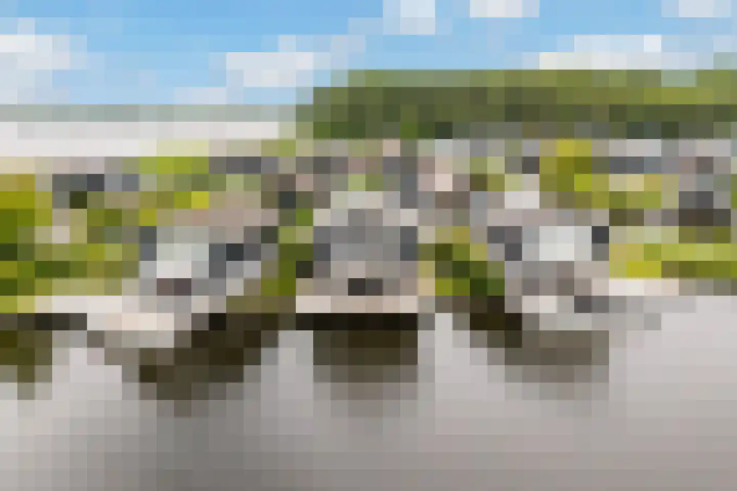 Jongebuorren 49 Terherne thumbnail 46