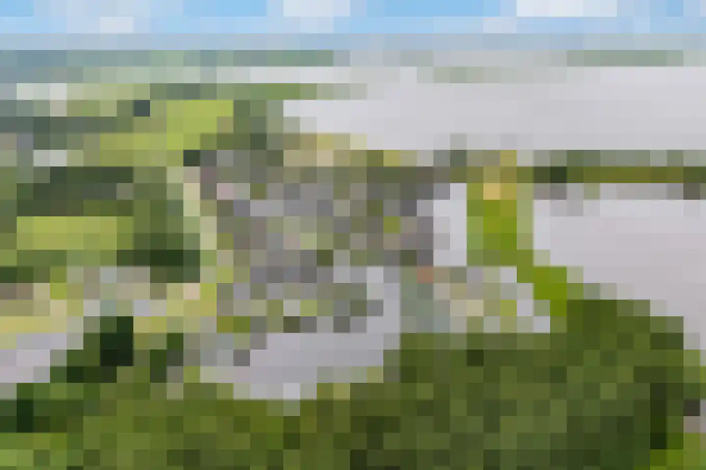 Jongebuorren 49 Terherne thumbnail 48