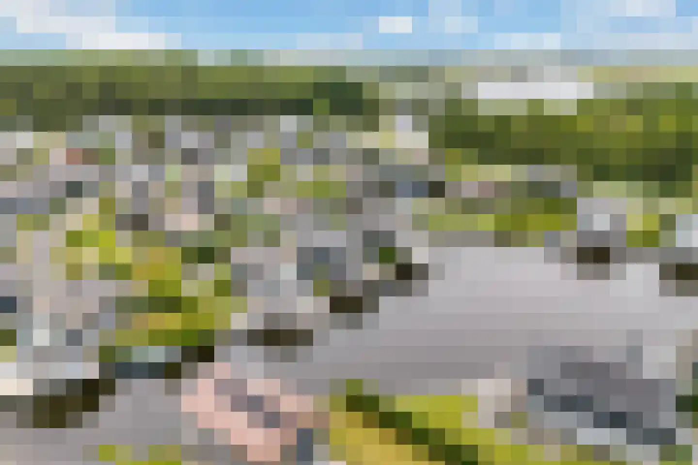 Jongebuorren 49 Terherne thumbnail 50