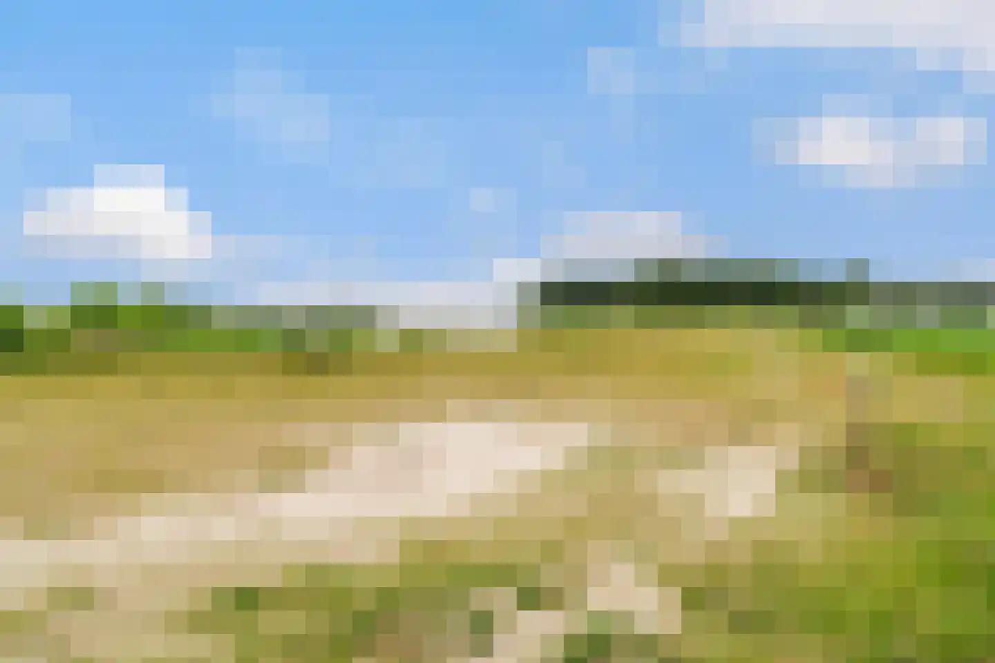 Jongebuorren 49 Terherne thumbnail 52