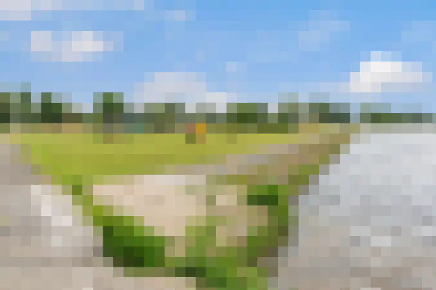 Jongebuorren 49 Terherne thumbnail 54