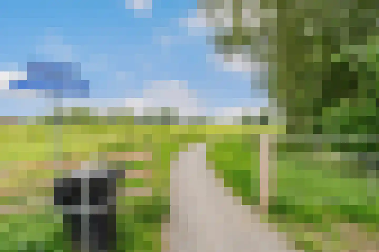 Jongebuorren 49 Terherne thumbnail 56