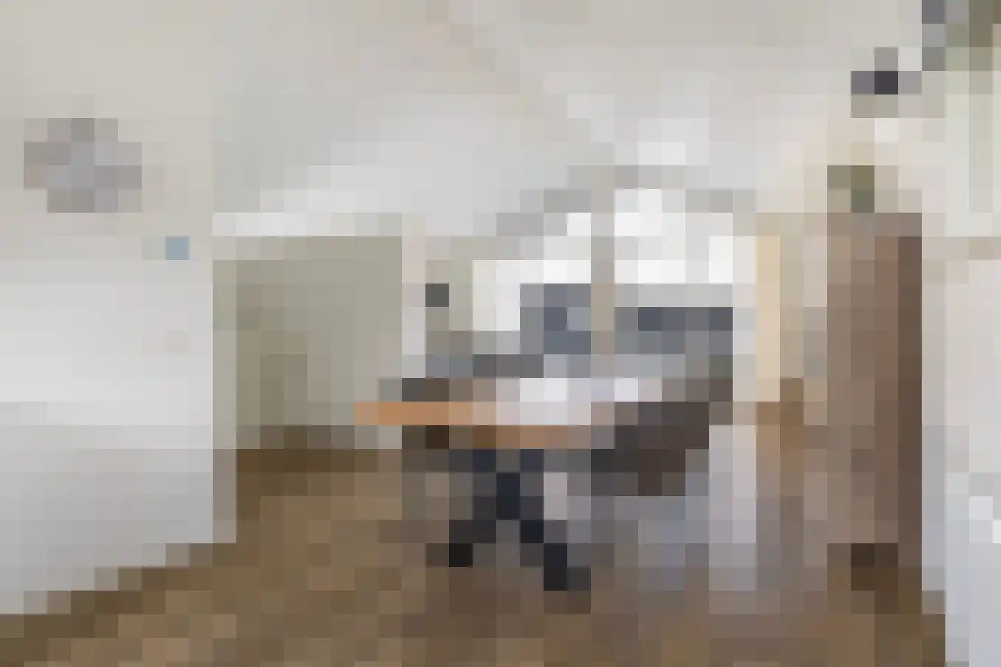 Jongebuorren 6 Terherne thumbnail 13
