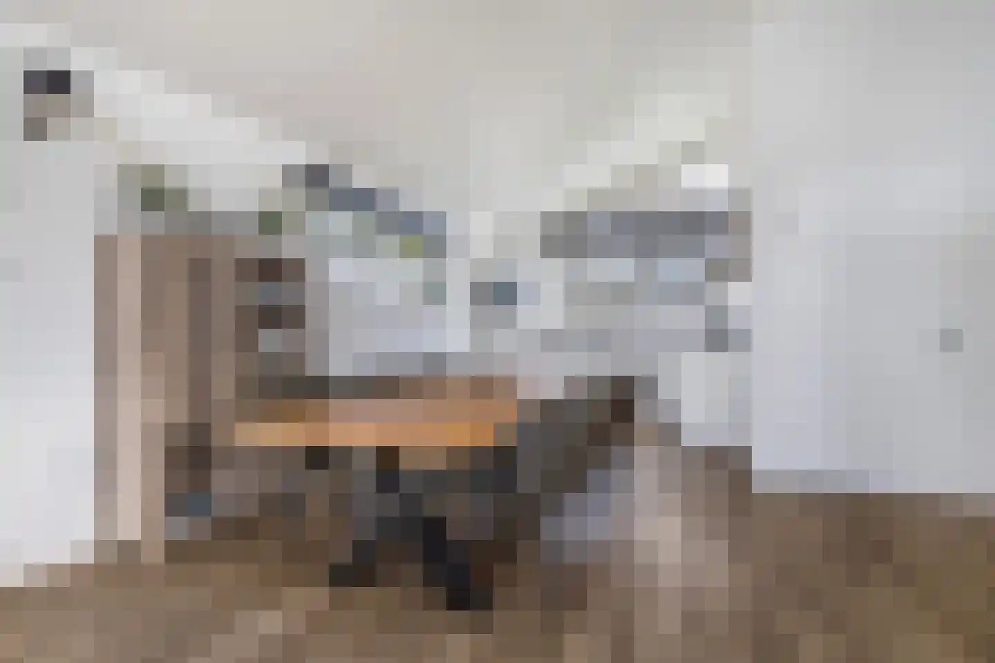 Jongebuorren 6 Terherne thumbnail 17