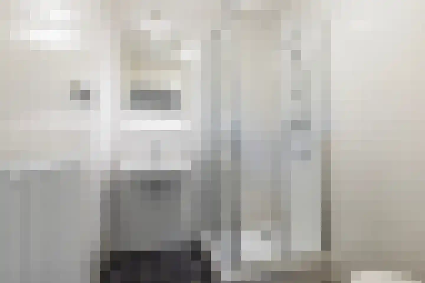 Jongebuorren 6 Terherne thumbnail 27