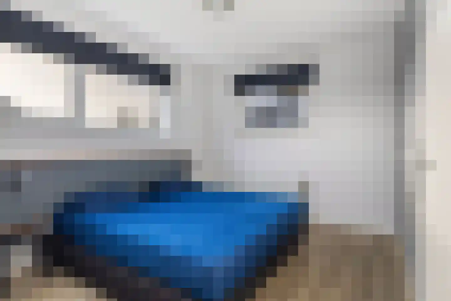 Jongebuorren 6 Terherne thumbnail 29