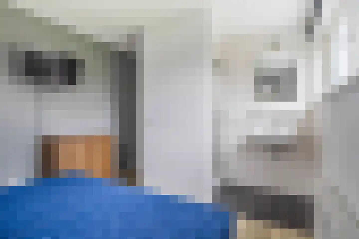 Jongebuorren 6 Terherne thumbnail 34