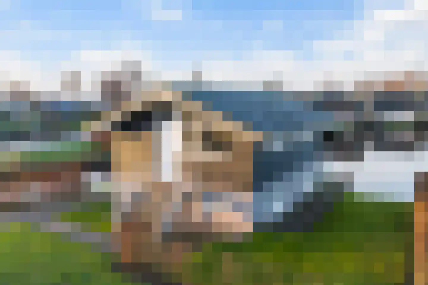 Jongebuorren 6 Terherne thumbnail 9