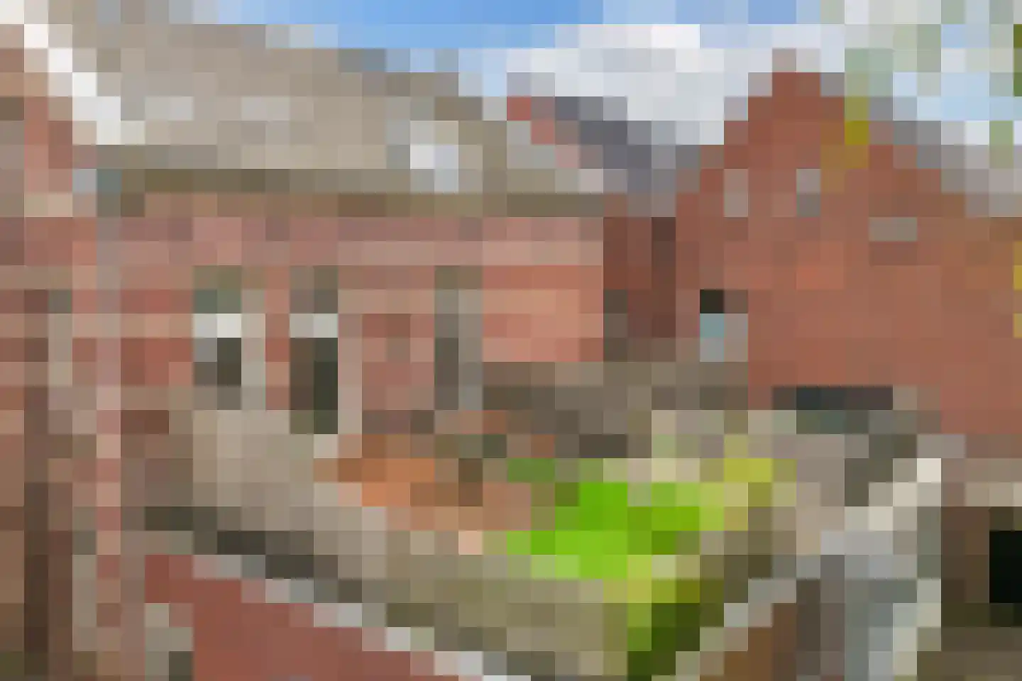 Jongemastraat 26 A Bolsward thumbnail 40