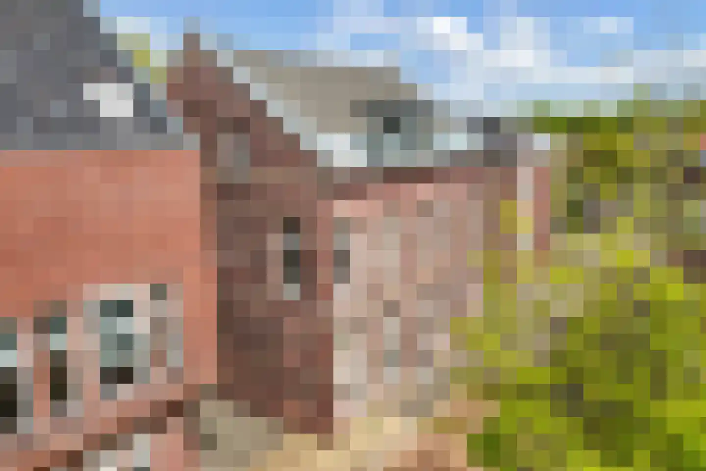 Jongemastraat 26 A Bolsward thumbnail 43