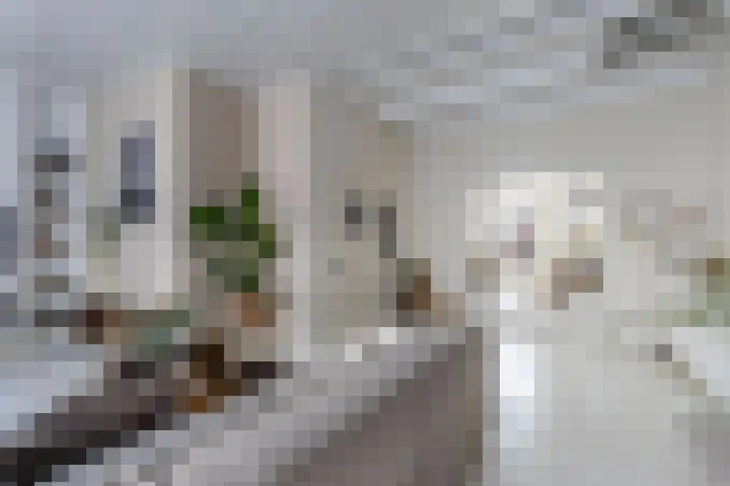 Jongemastraat 33 Bolsward thumbnail 12
