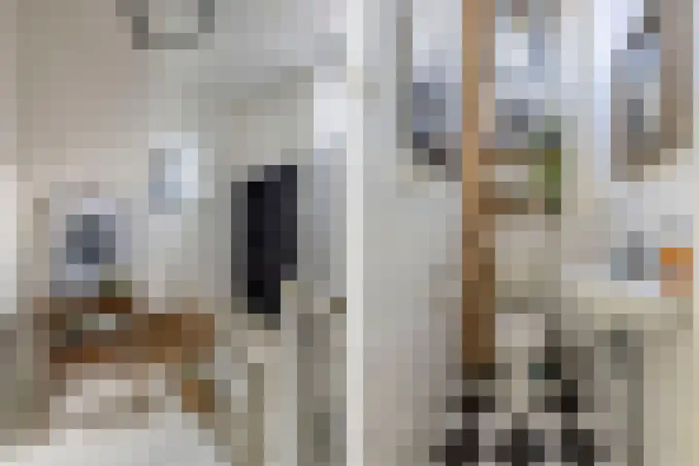 Jongemastraat 33 Bolsward thumbnail 9