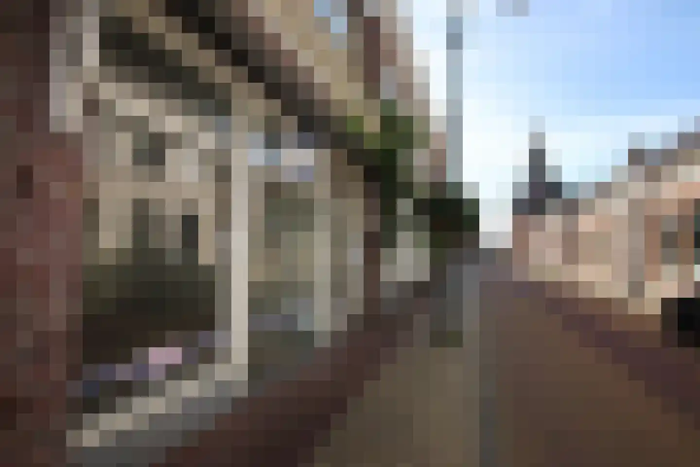 Jongemastraat 35 Bolsward thumbnail 5