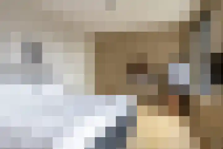 Jongeneelwerf 10 Utrecht thumbnail 37