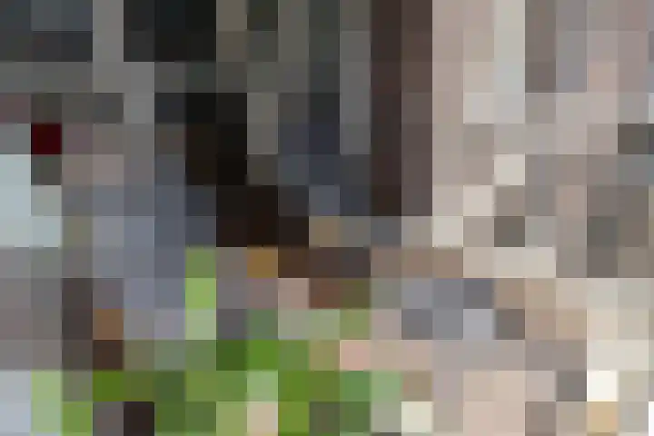 Jongeneelwerf 10 Utrecht thumbnail 4