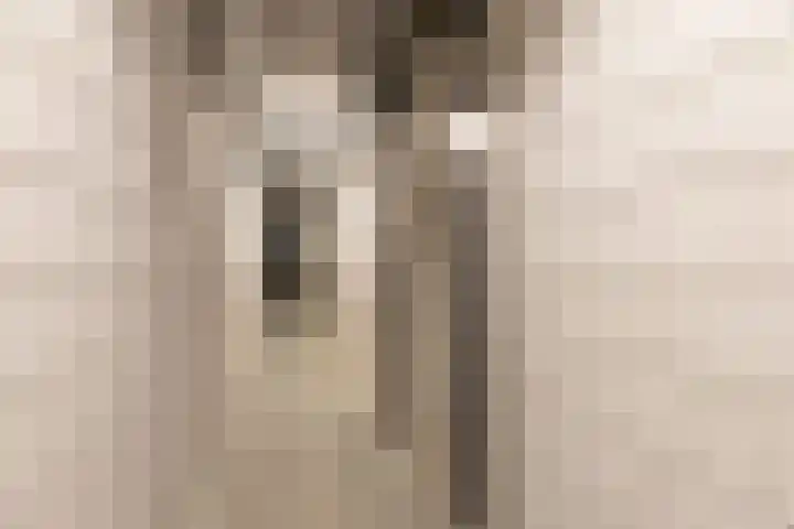 Jongeneelwerf 10 Utrecht thumbnail 44