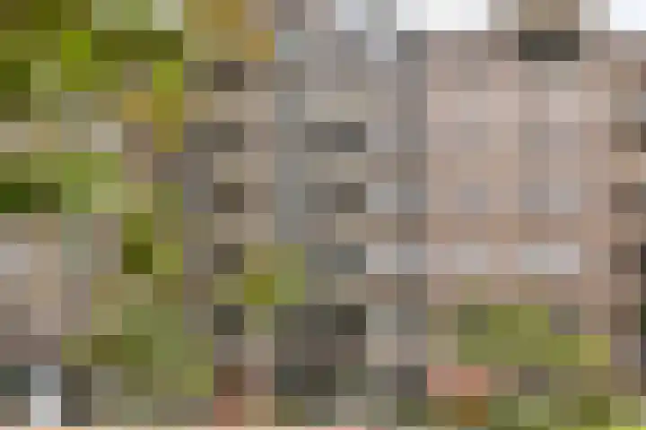 Jongeneelwerf 10 Utrecht thumbnail 6